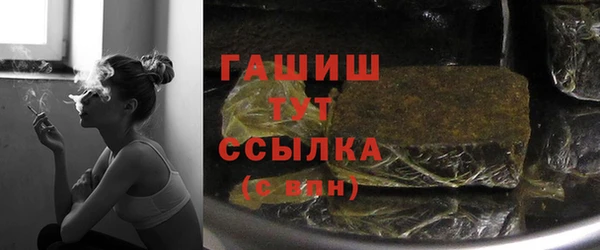 прущие грибы Наволоки