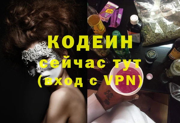 дмт Арсеньев