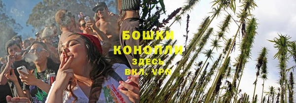 дмт Арсеньев