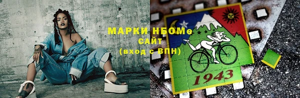 гашик Надым