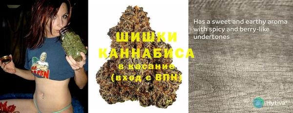 дмт Арсеньев